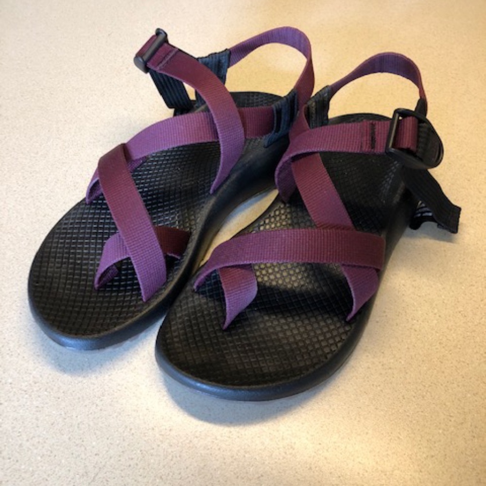 Chaco Z/2 Classic Sandals in Fig